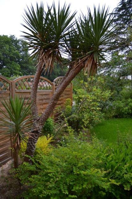 Le Logis De Saint-Martin Bed & Breakfast Haute-Goulaine Eksteriør bilde